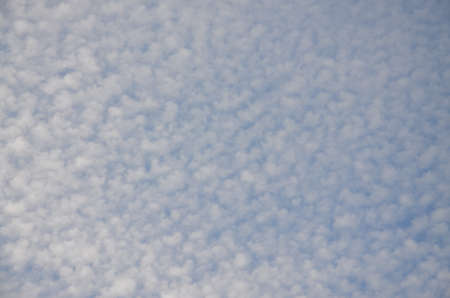 cotton clouds