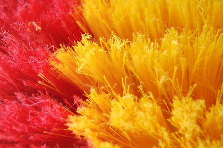 Cleaning brushの写真素材