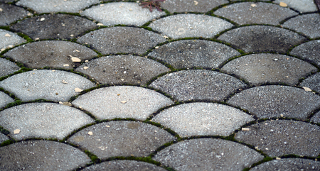 pavement with green grassの写真素材
