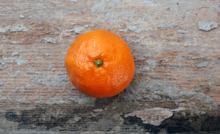 Tangerineの写真素材