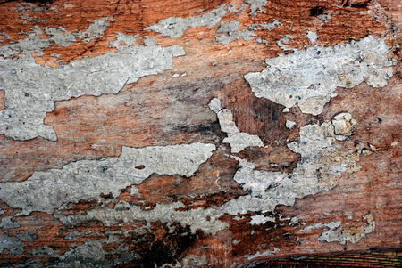 Wood Backgroundの写真素材