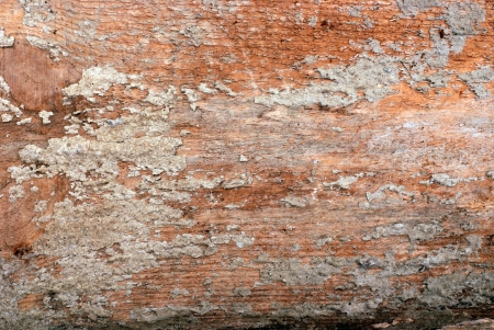 Wood Backgroundの写真素材