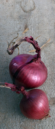 red onionの写真素材