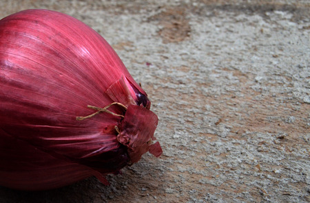 red onionの写真素材