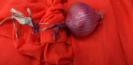 red onionの写真素材