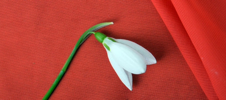 springの写真素材