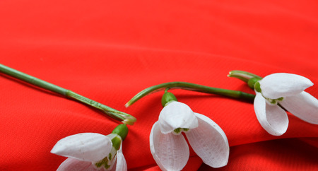 springの写真素材