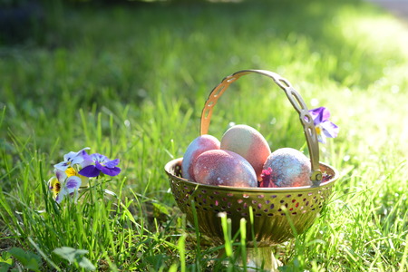 easter eggs on the morning grassの写真素材