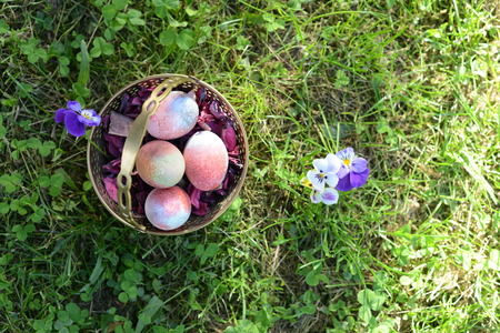 easter eggs on the morning grassの写真素材