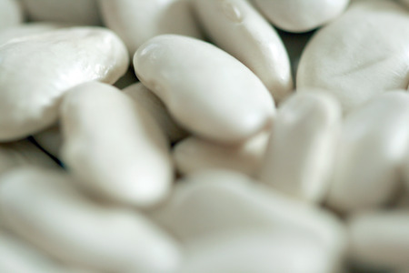 Kidney bean, macro, の写真素材