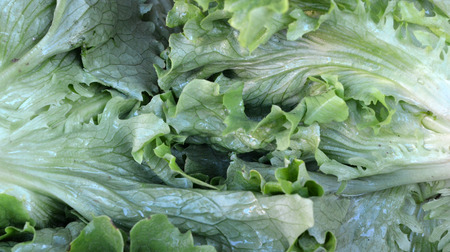 Fresh salad in a marketの写真素材