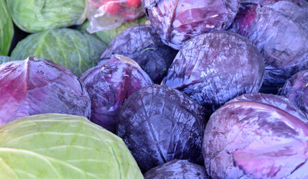 red and green cabbagesの写真素材