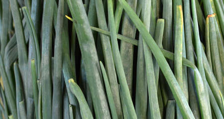 Spring onion in a marketの写真素材
