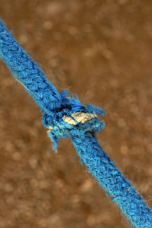 Knot on a blue ropeの写真素材