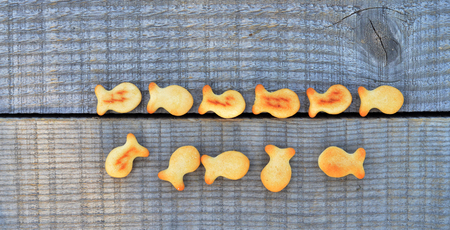 Fish crackersの写真素材