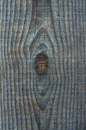 texture of a woodの写真素材