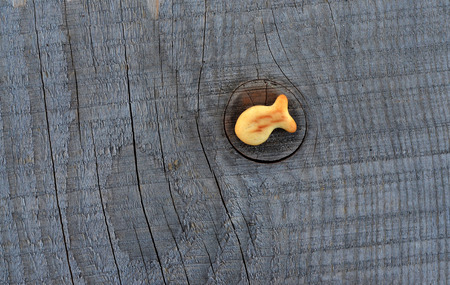 Fish in the wooden texture の写真素材