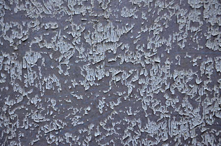 Wood backgroundの写真素材