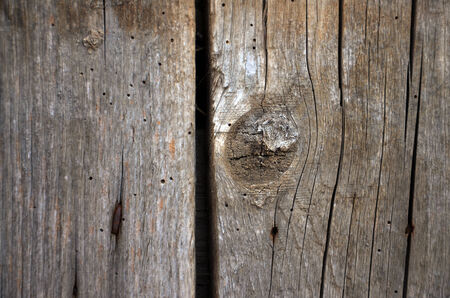 Wood backgroundの写真素材