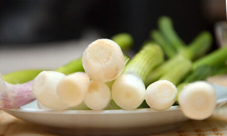 Organic spring onion from my backyardの写真素材