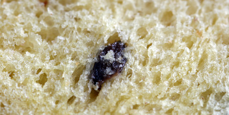 Texture of easter bread,の写真素材