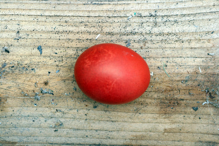 One easter eggの写真素材