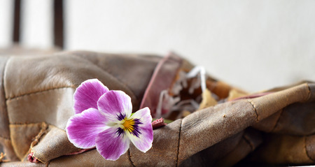 spring flowerの写真素材