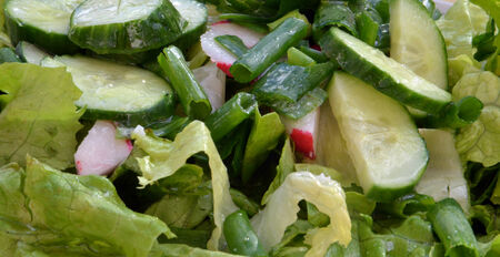 Fresh spring saladの写真素材