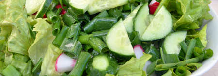 Fresh spring saladの写真素材