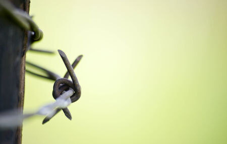 Rusty barbed wireの写真素材