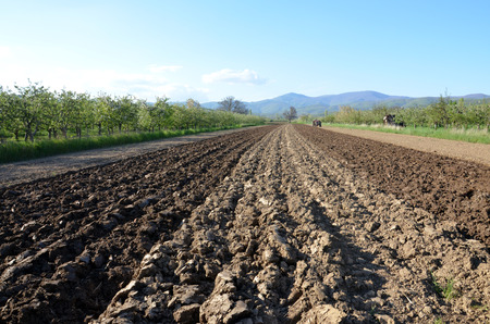 Agriculture ploughing tractor at workの写真素材