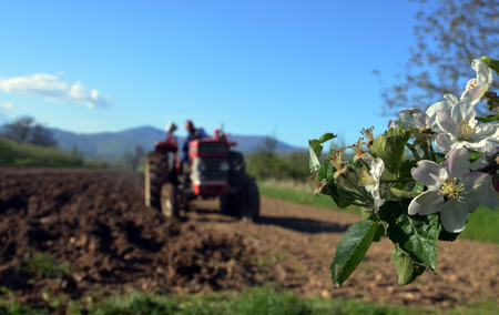 Agriculture ploughing tractor at workの写真素材