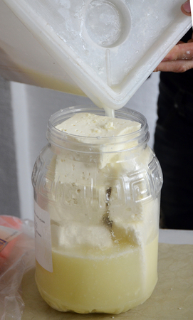 Fresh sheep cheese in jarの写真素材
