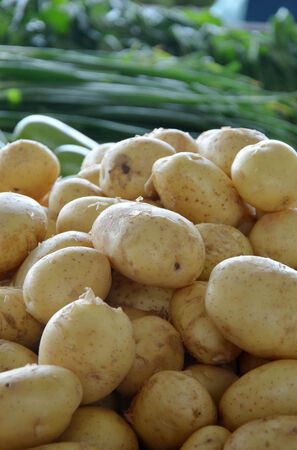 Organic potatoes in a Market in Macedoniaの写真素材