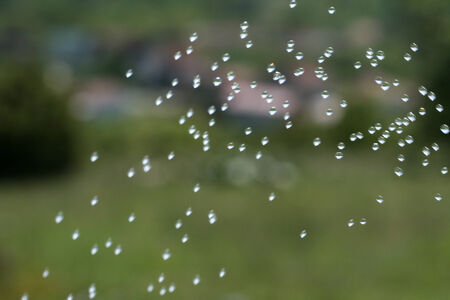 Dance of waterdropsの写真素材