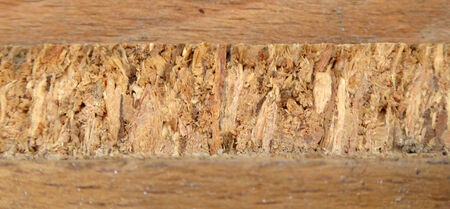 Old wood background