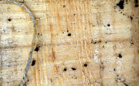  Old wood background