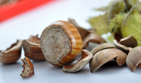 Hazelnut