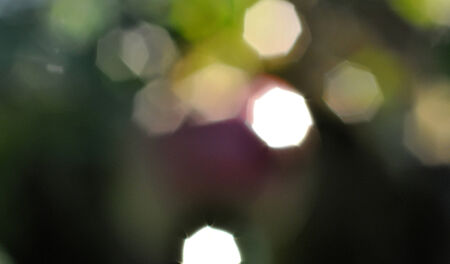 Ecology  bokeh backgroundの写真素材