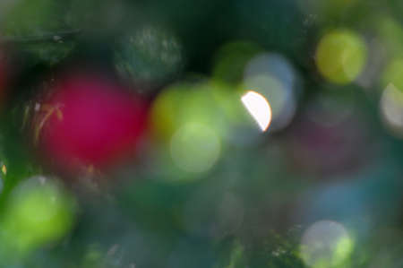 Colourfull bokehの写真素材