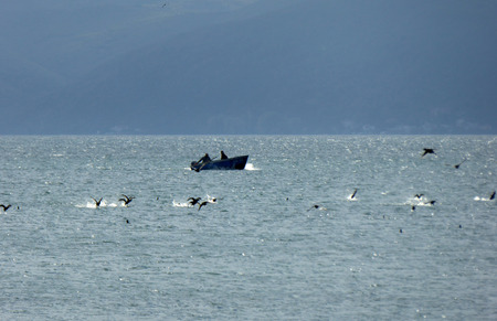 lake ohrid, macedoniaの写真素材
