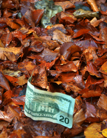 20 dollars