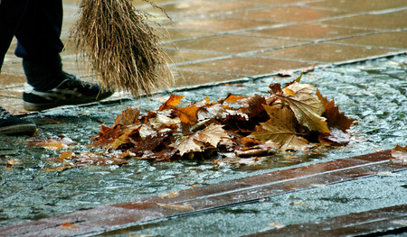 autumn leavesの写真素材