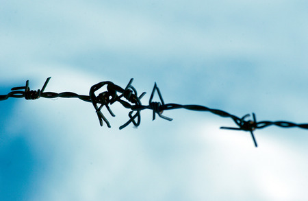 Barbed wire against snowの写真素材