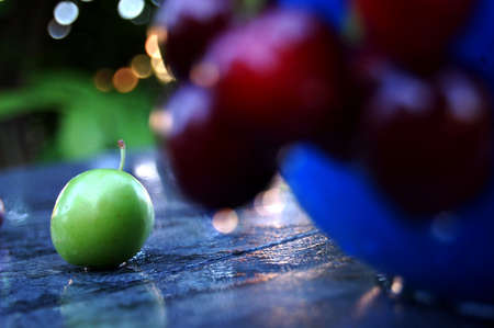 Picture of a Green Plum on a wet surfaceの写真素材