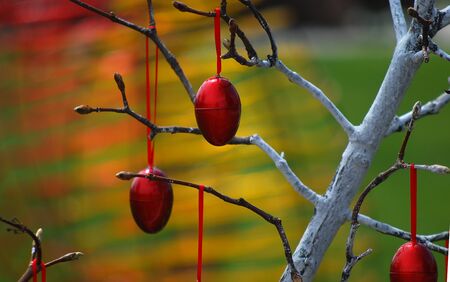 Photo of a Red easter eggs on a treeの写真素材