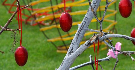 Photo of a Red easter eggs on a treeの写真素材