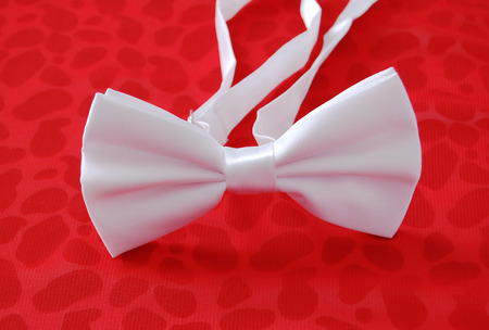 Picture of a  fashion and trendy bow tieの写真素材
