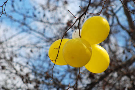 Picture of a colorful baloonsの写真素材