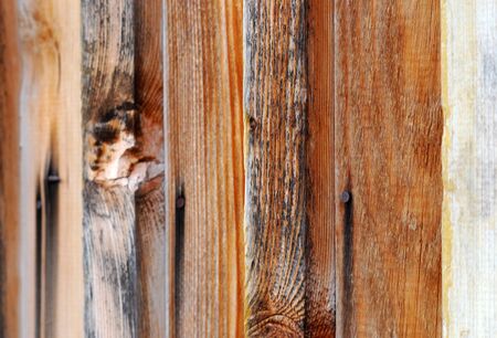 Picture of an Old wood backgroundの写真素材